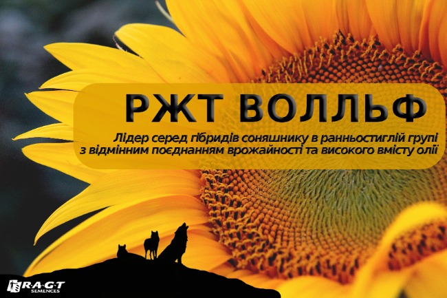 РАЖТ Семенс-Україна представить 8 гібридів кукурудзи на Битві Агротитанів | Битва Агротитанів